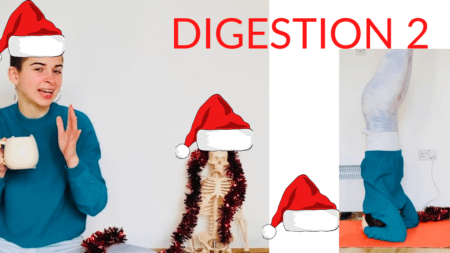 42- Christmas and digestion part 2