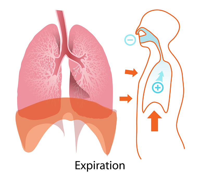 exhalation yoga anatmony