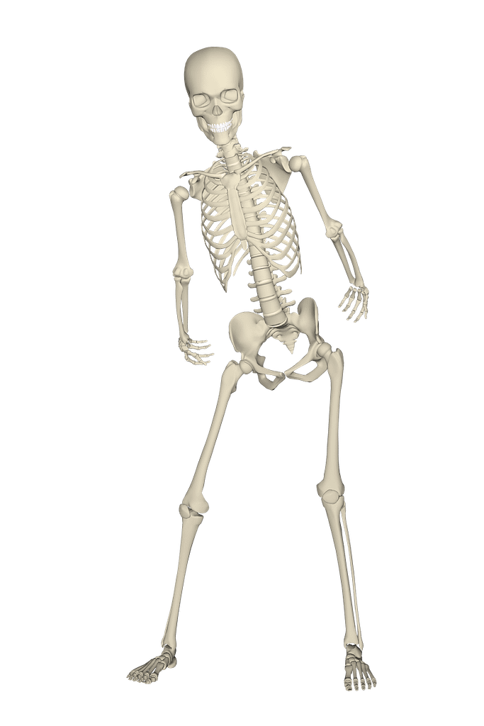 skeleton walk like a princess
